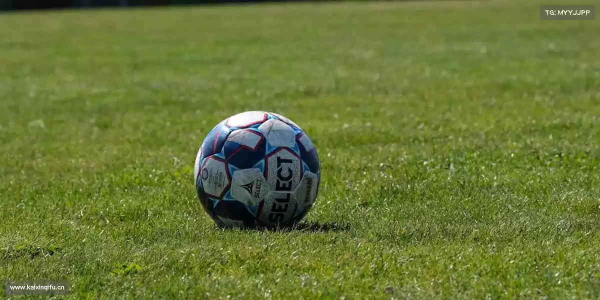 我们的品牌价值